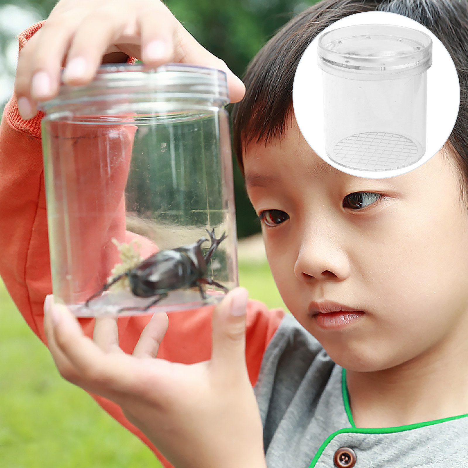 5Pcs Insect Observation Box Ki - Science Toy avis et prix