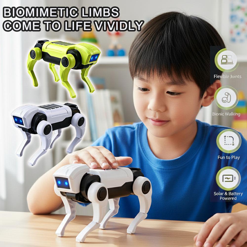 DIY Assembly RC Robot Dog Toy  - Science Robot avis et prix