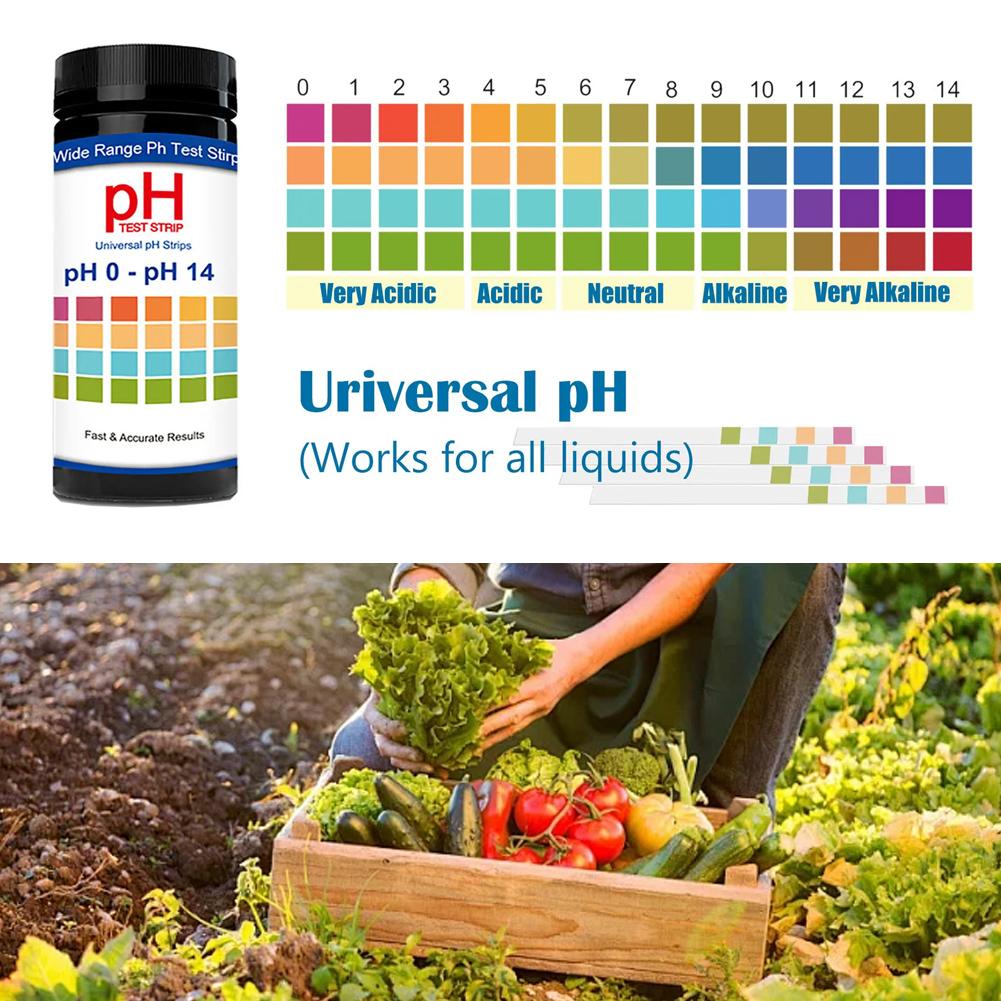 100 Pieces Multipurpose Chlori - Ph Strip Test avis et prix