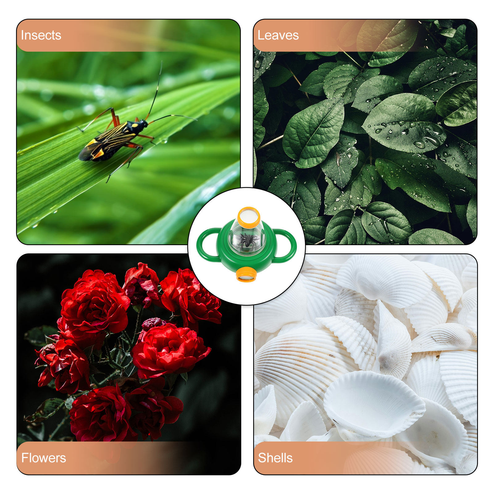 2Pcs Green Insect Observation  - Science Toy avis et prix