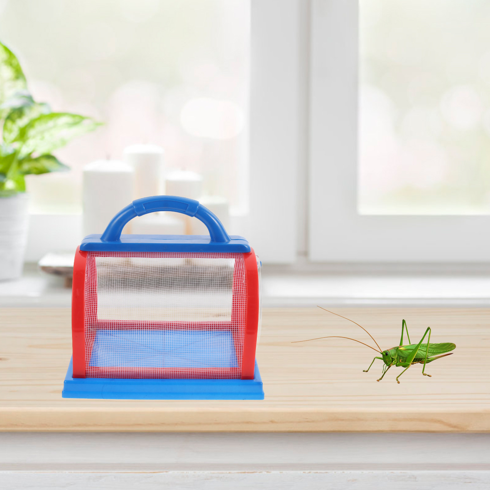 1Set Transparent ABS Insect Ob - Science Toy avis et prix