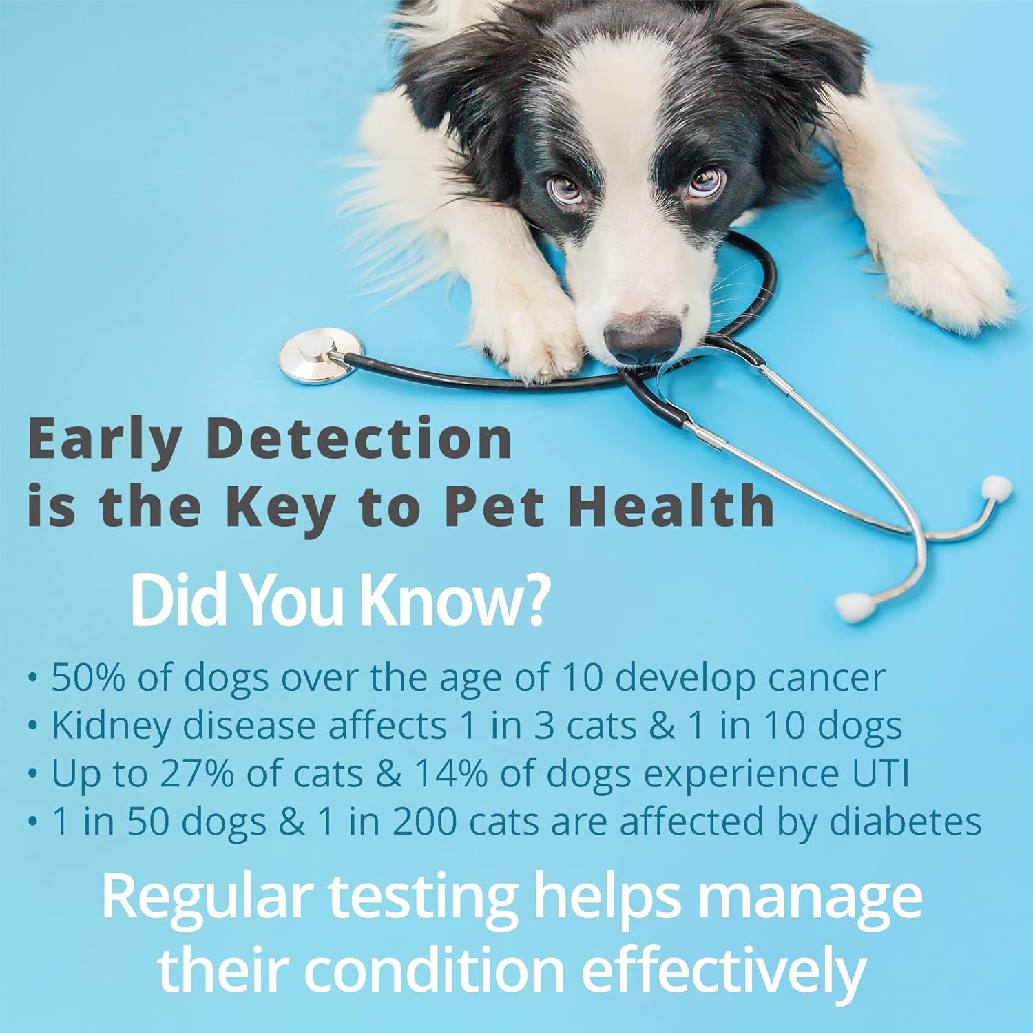 Pet Urine Testing Strips, 100  - Ph Strip Test avis et prix