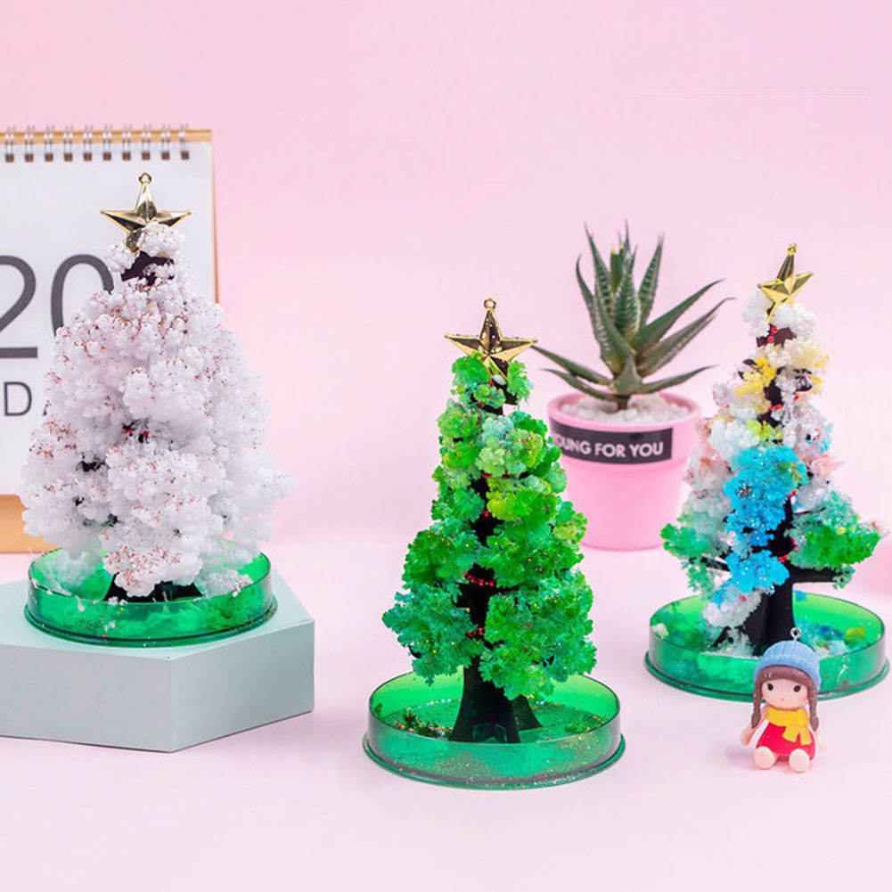 Magics Growing Xmas Tree Kit F - Crystal Growing Kit avis et prix