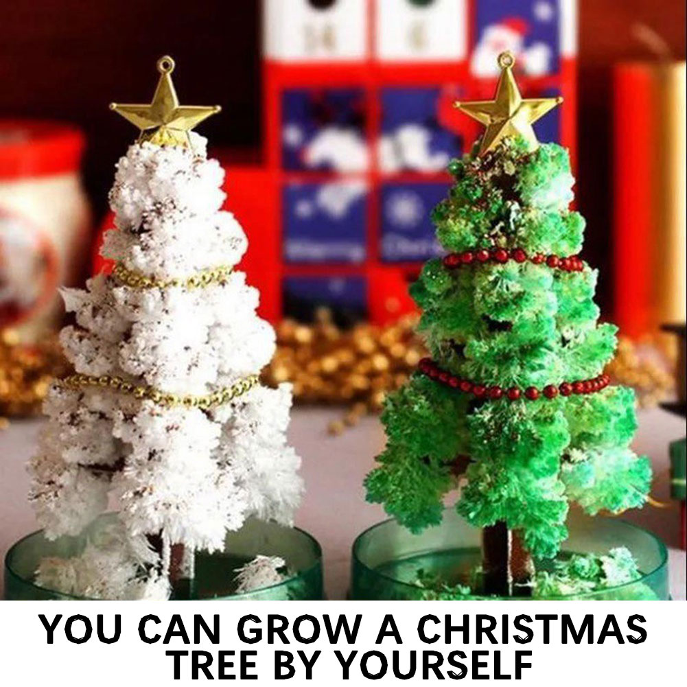 Magics Growing Xmas Tree Kit F - Crystal Growing Kit avis et prix