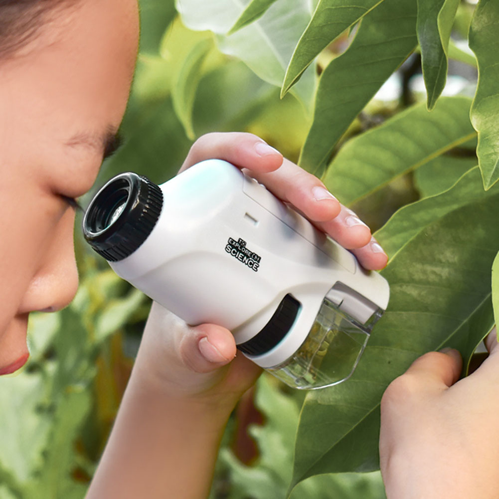 Handheld Pocket Microscope 60- - Science Max avis et prix