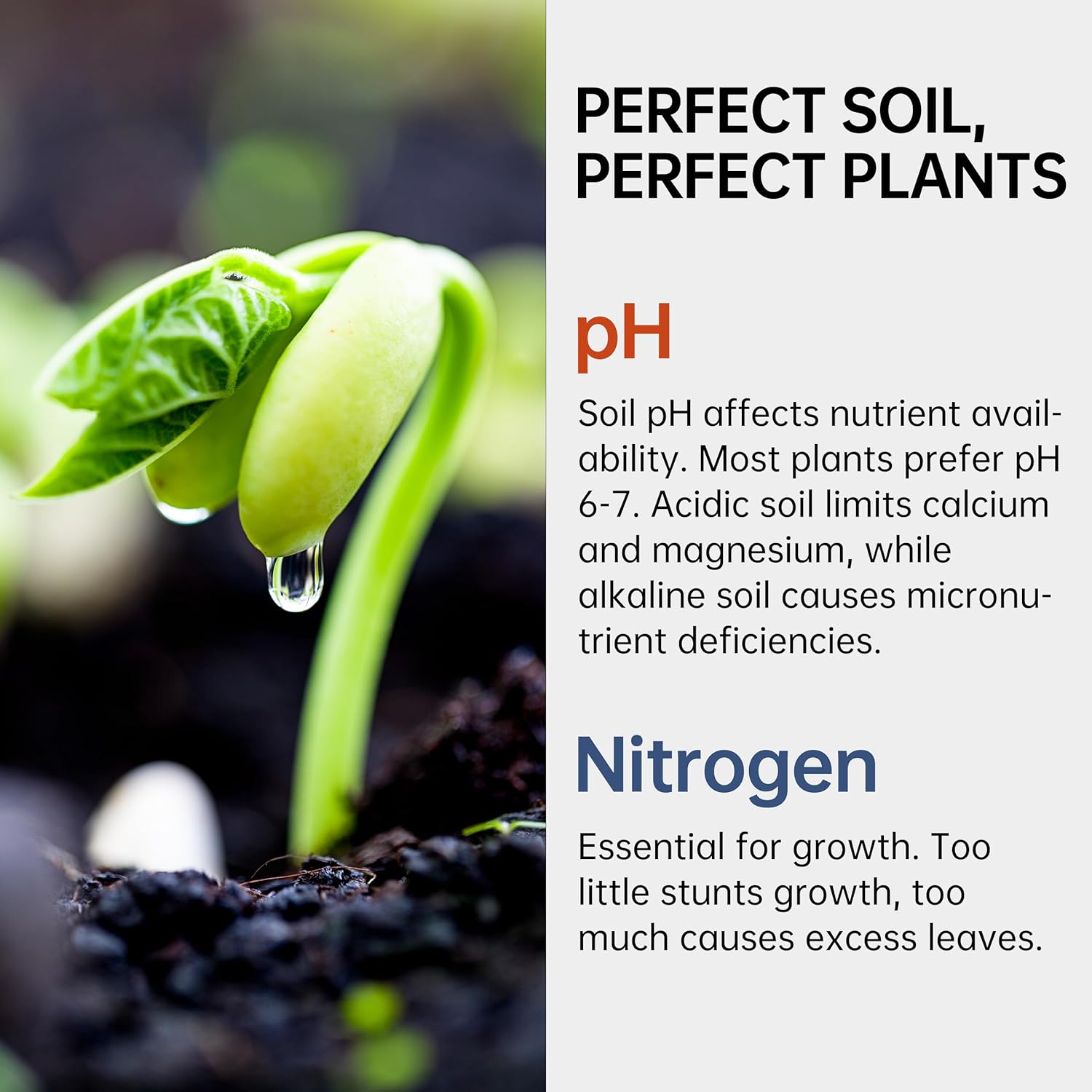Soil Test Kit pH & Nitrogen Te - Ph Strip Test avis et prix