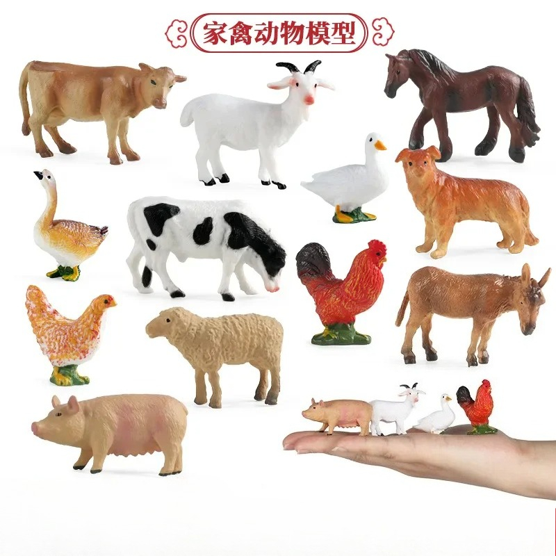 Education Teaching Tool Poultr - Science Toy avis et prix