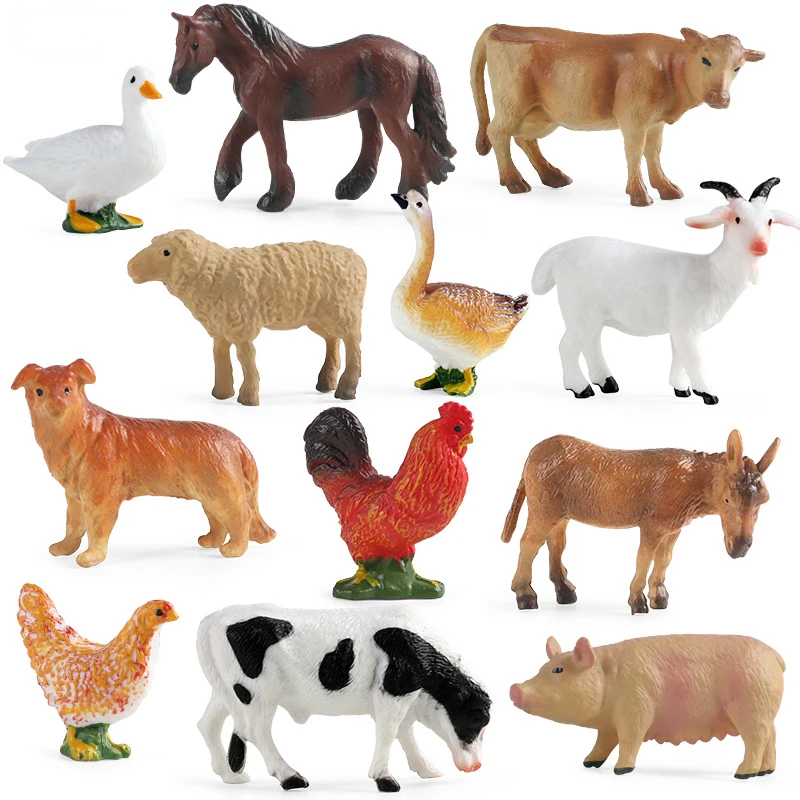 Education Teaching Tool Poultr - Science Toy avis et prix